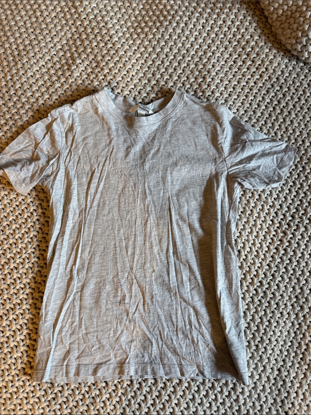 Women’s Lightweight Crew Neck T-Shirt in Light Gray